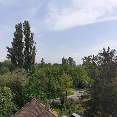 Appartement Sur Les Bords De L'Ill Strasbourg Exterior photo