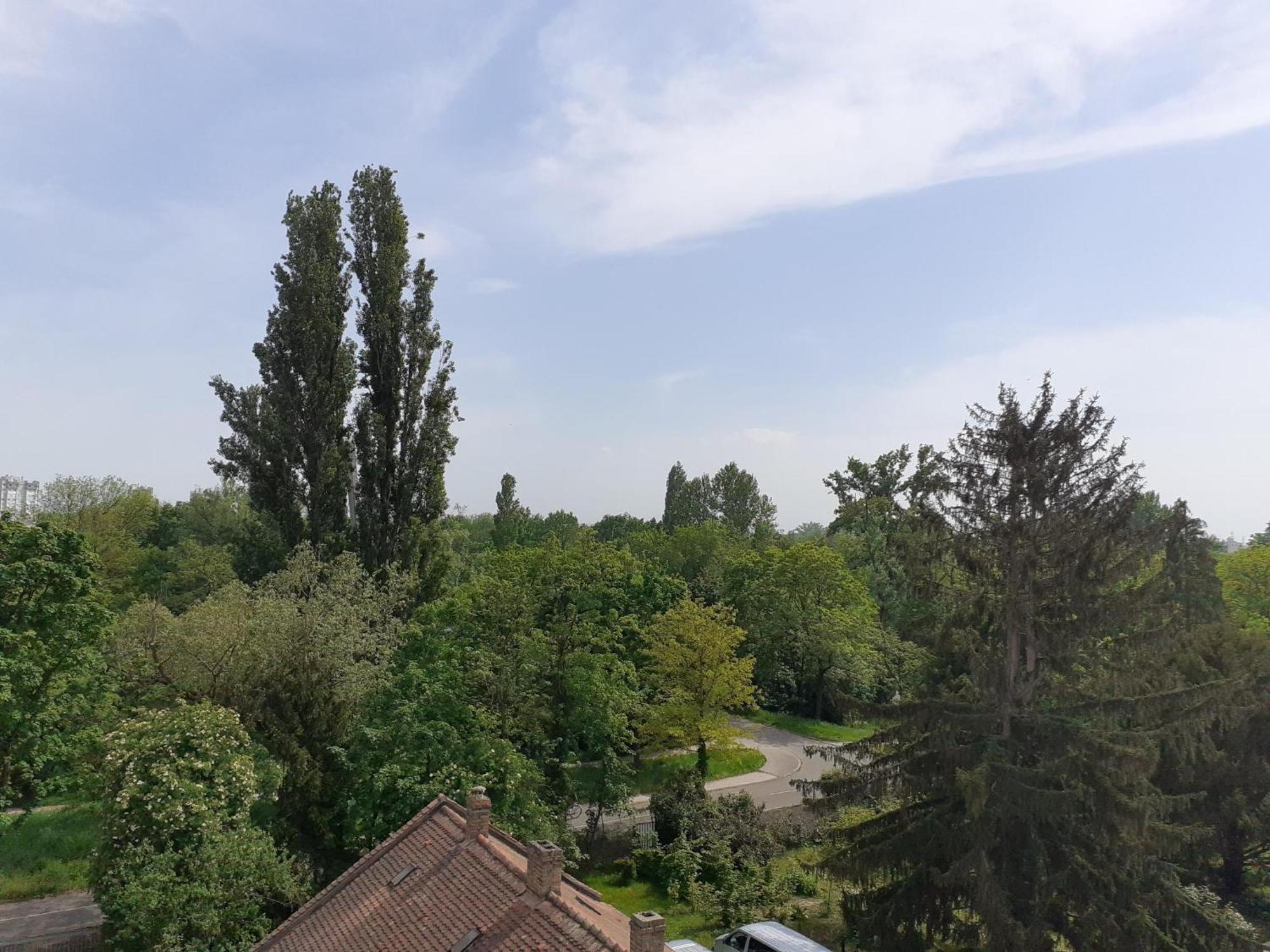 Appartement Sur Les Bords De L'Ill Strasbourg Exterior photo